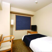 遮光タイプのハニカムスクリーンのメリット・デメリットや関連製品を紹介